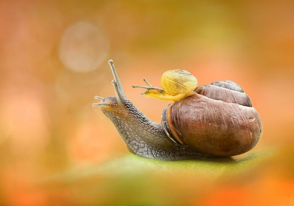 Photograph Paula Loonen Go For It on One Eyeland